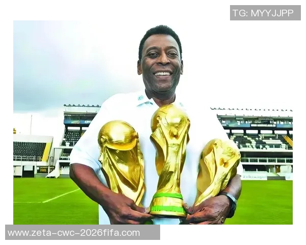 虎神足球的崛起与传奇背后的故事探寻与热爱之旅